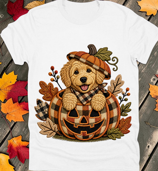Fall Preppy Tee Collection 32