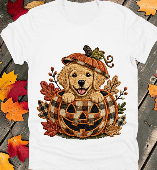 Fall Preppy Tee Collection 36