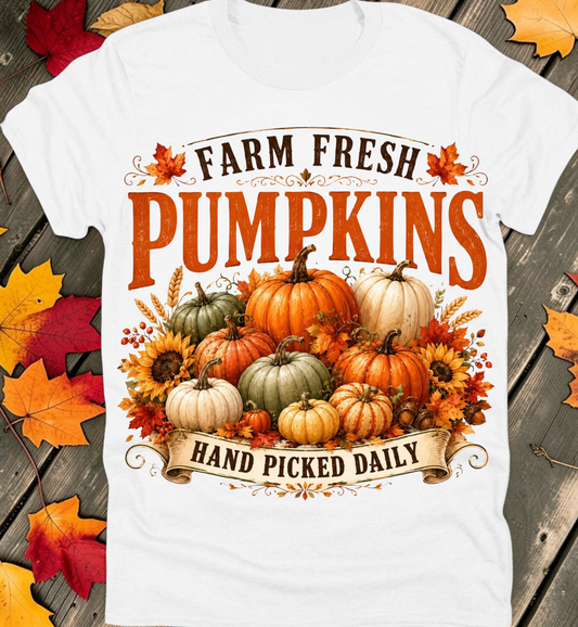 Fall Preppy Tee Collection 73