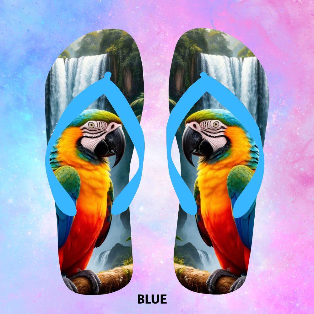 Flip Flops